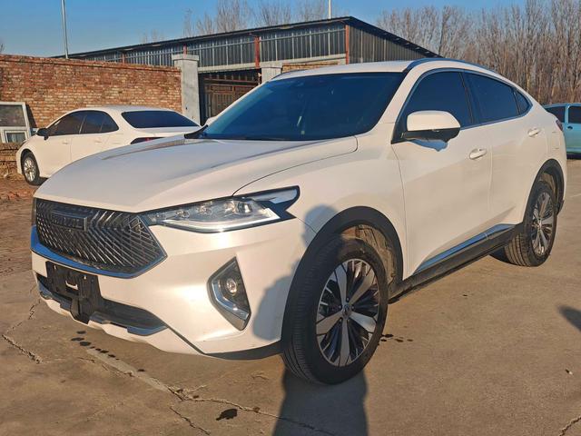 Haval F7x 2020 #2 Haval F7x 2020 car image #2