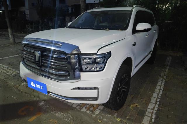 Tank 500 2022 imagen de coche #2