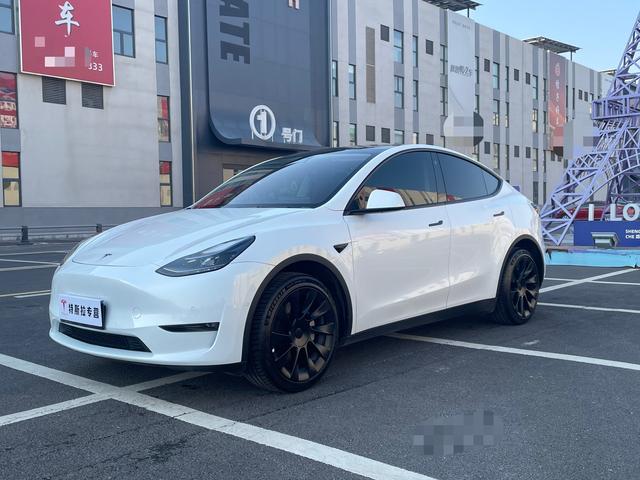 Tesla Model Y 2023 #2 Tesla Model Y 2023 car image #2