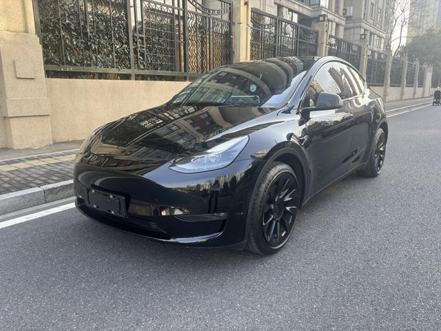 Tesla 2021 immagine di auto #2