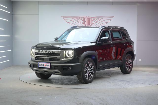 Haval X Dog / Dargo 2023 immagine di auto #2