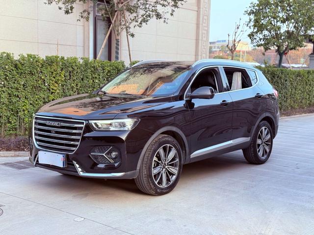 Haval H6 2020 car image #2
