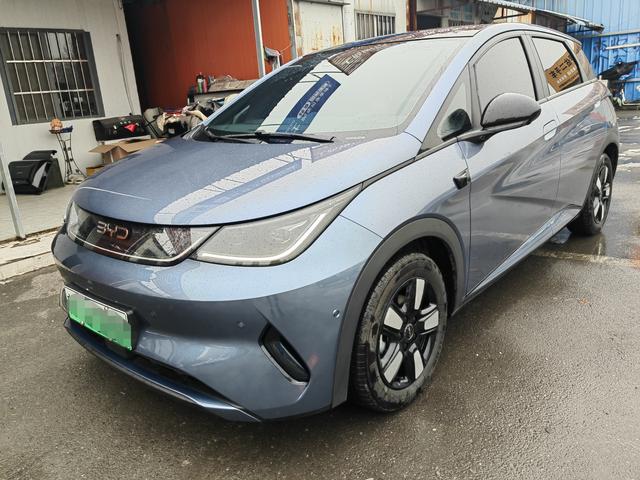 BYD Dolphin 2025 car image #2