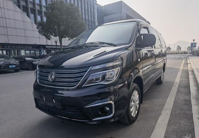 Forthing Lingzhi 2019 immagine di auto #2