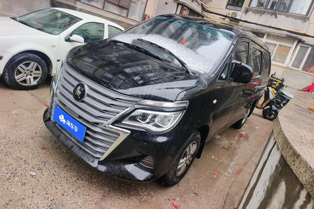 Forthing Lingzhi 2023 immagine di auto #2