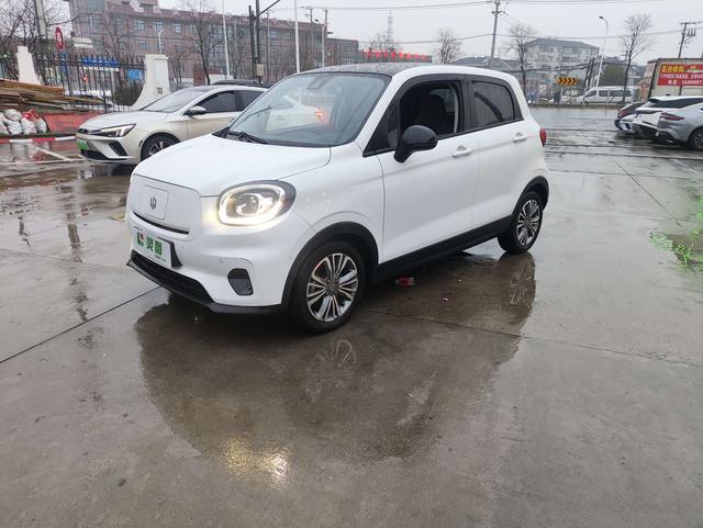 零跑汽车 零跑T03 2021 汽车图片 #2