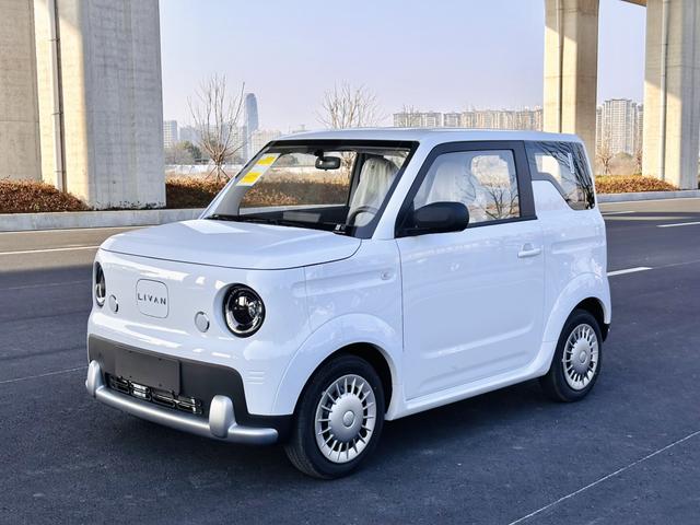 睿蓝汽车 2026 汽车图片 #2