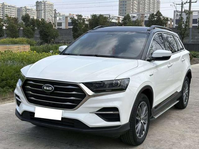 SWM G01 2019 image de voiture #2