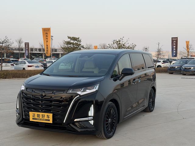 Denza D9 2023 imagem de carro #2