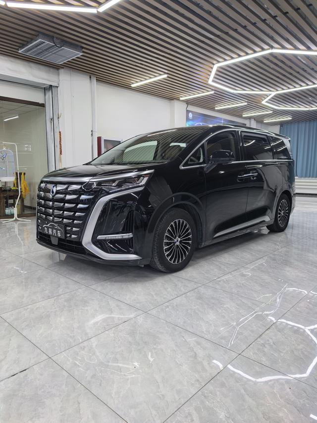 Denza D9 2023 imagen de coche #2