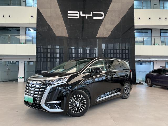 腾势 腾势D9 2024 汽车图片 #2