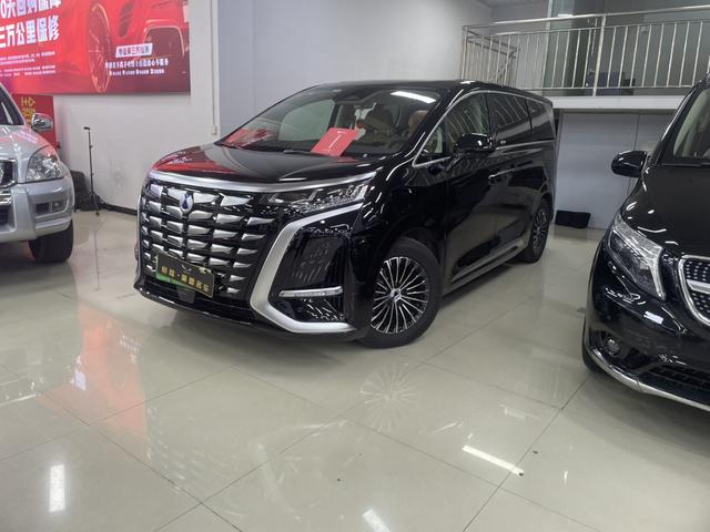 Denza D9 2025 imagem de carro #2