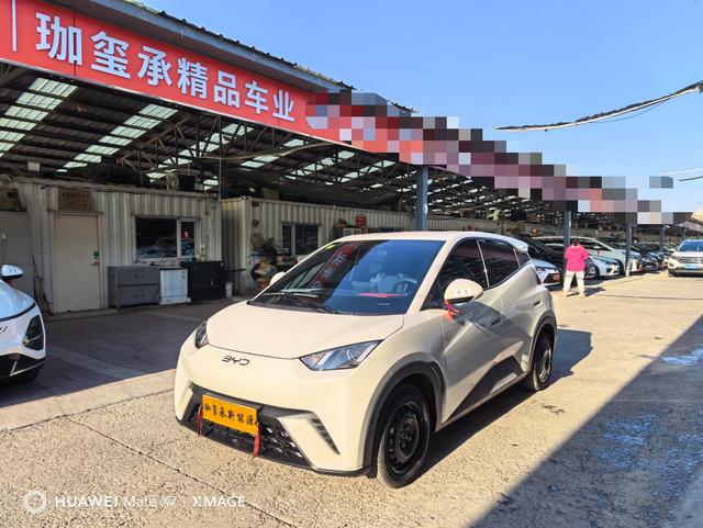 BYD Seagull 2024 immagine di auto #2