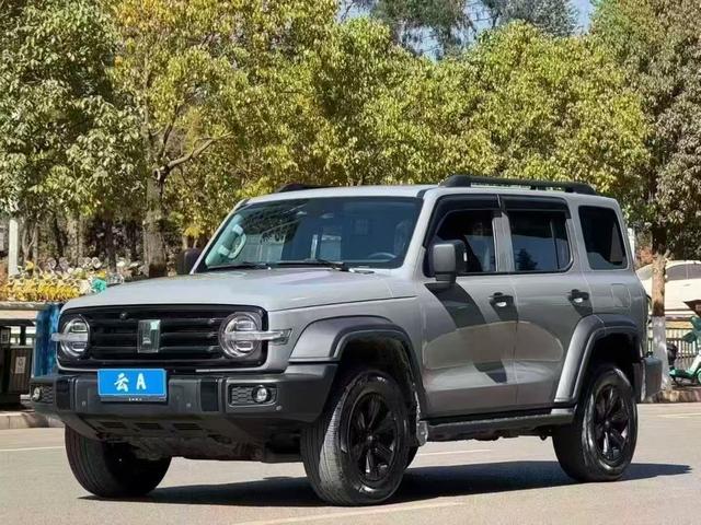 Tank 300 2022 immagine di auto #2