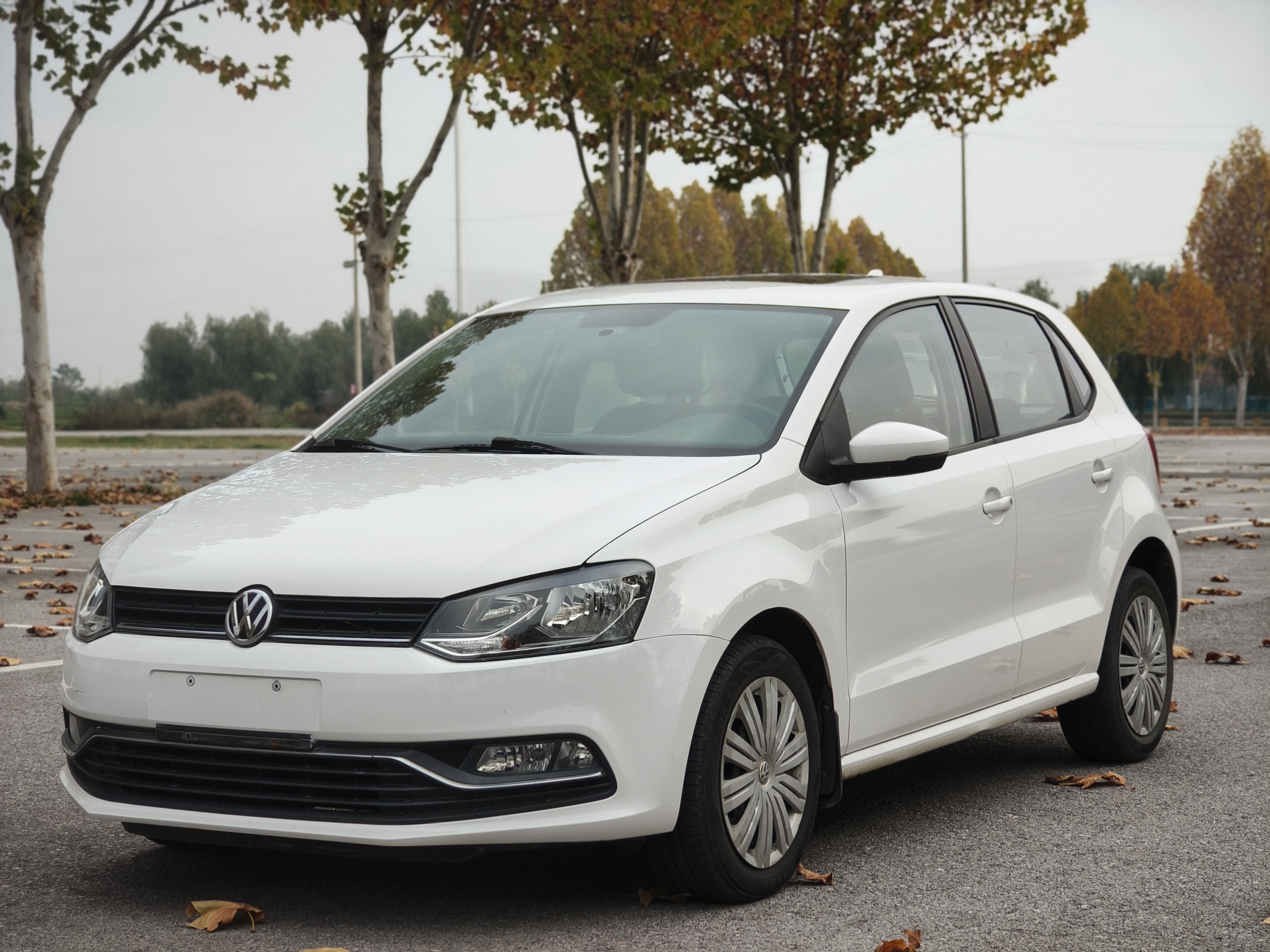 大众 Polo 2017 汽车图片 #2