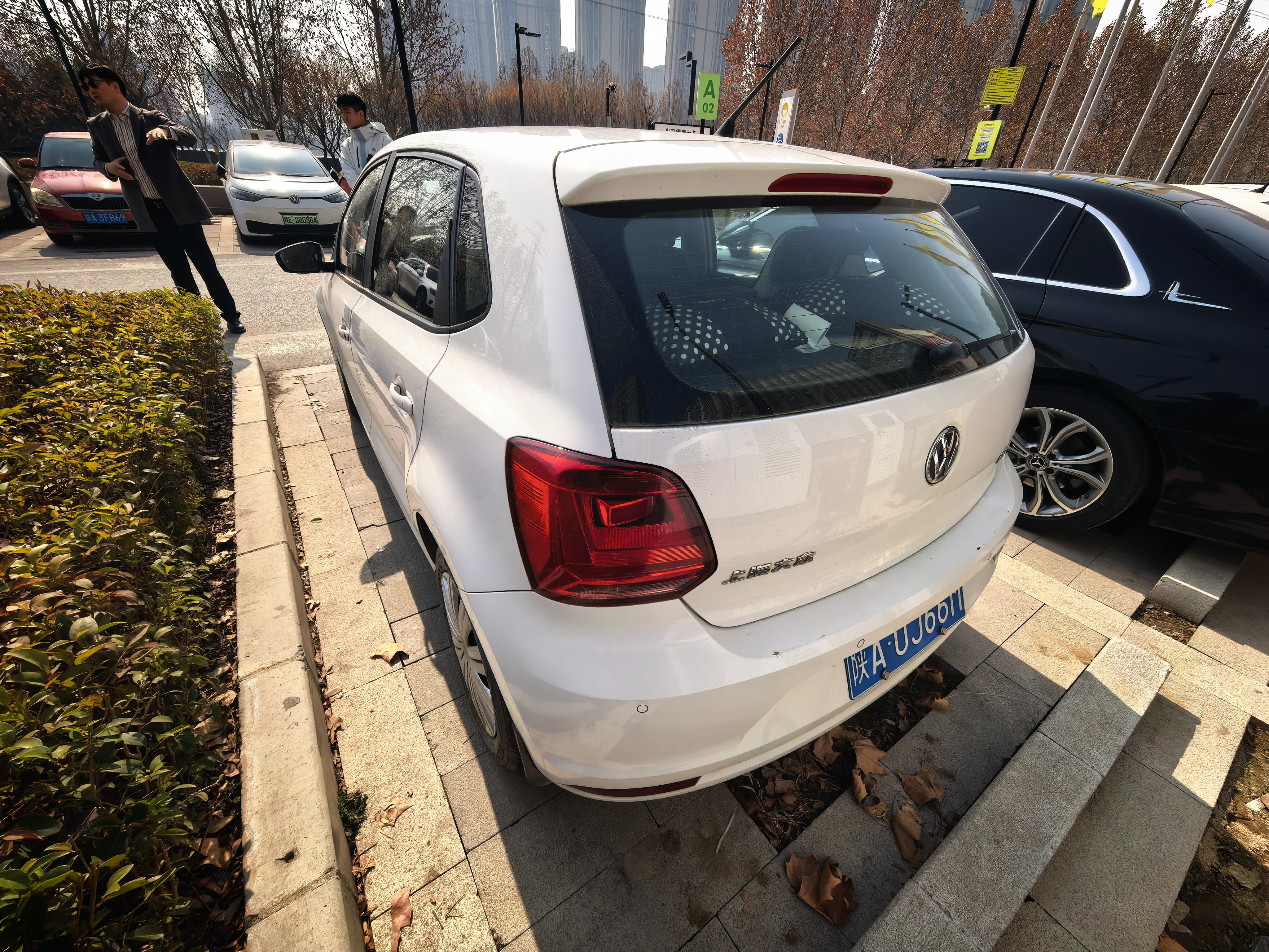Polo 2016 car image #2