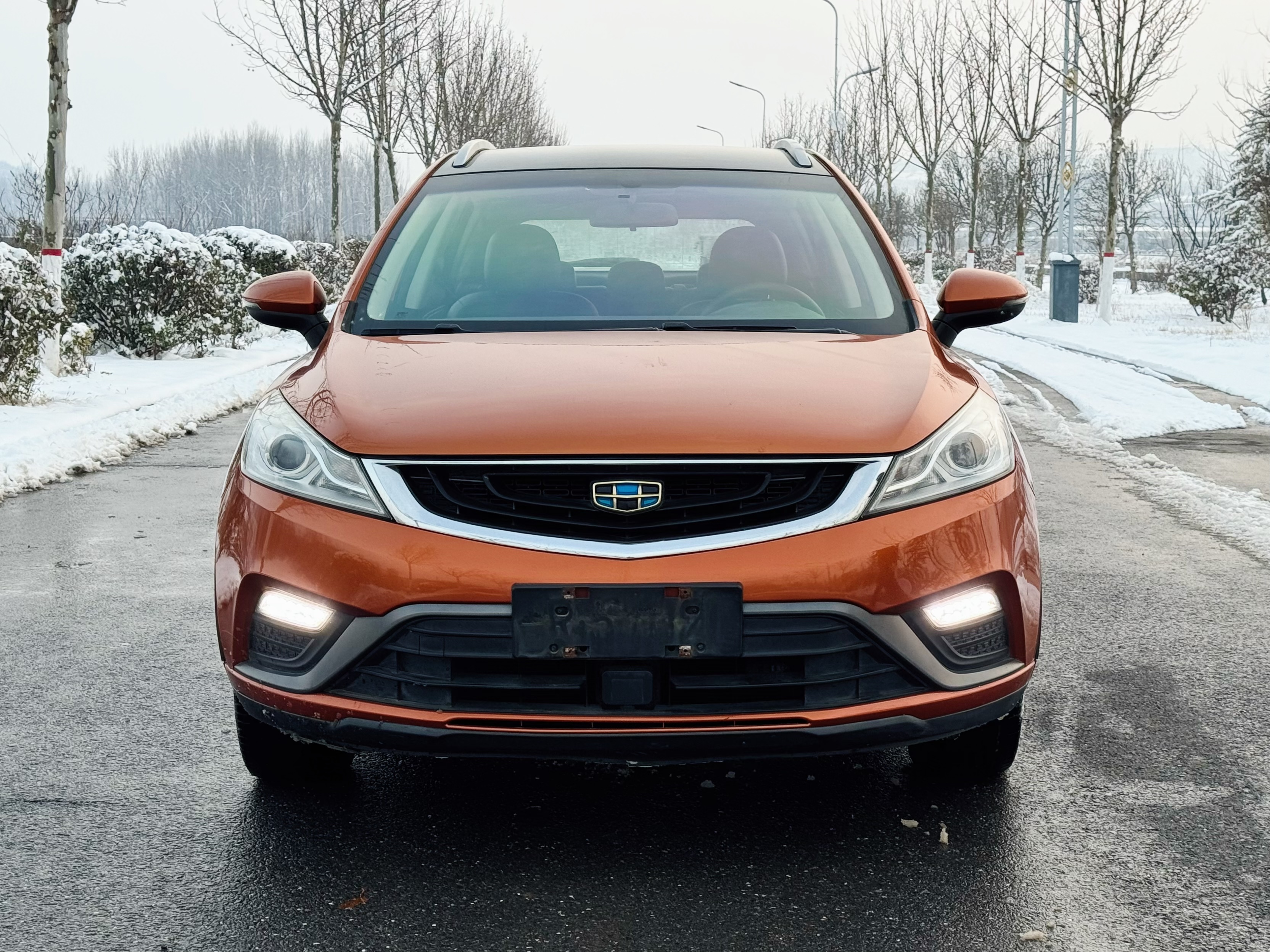 Emgrand GS 2017 #2 Emgrand GS 2017 car image #2
