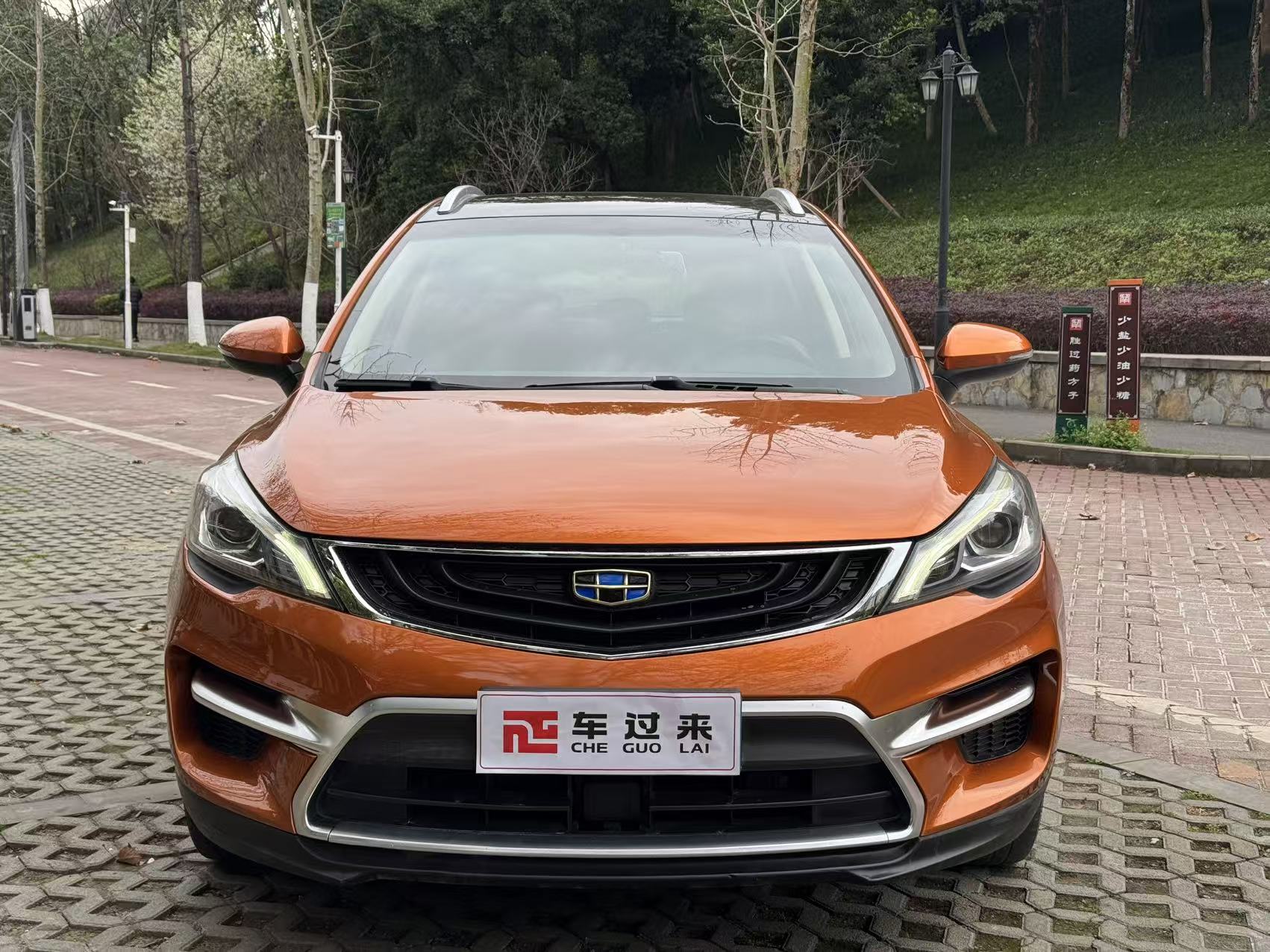 Emgrand GS 2017 #2 Emgrand GS 2017 car image #2