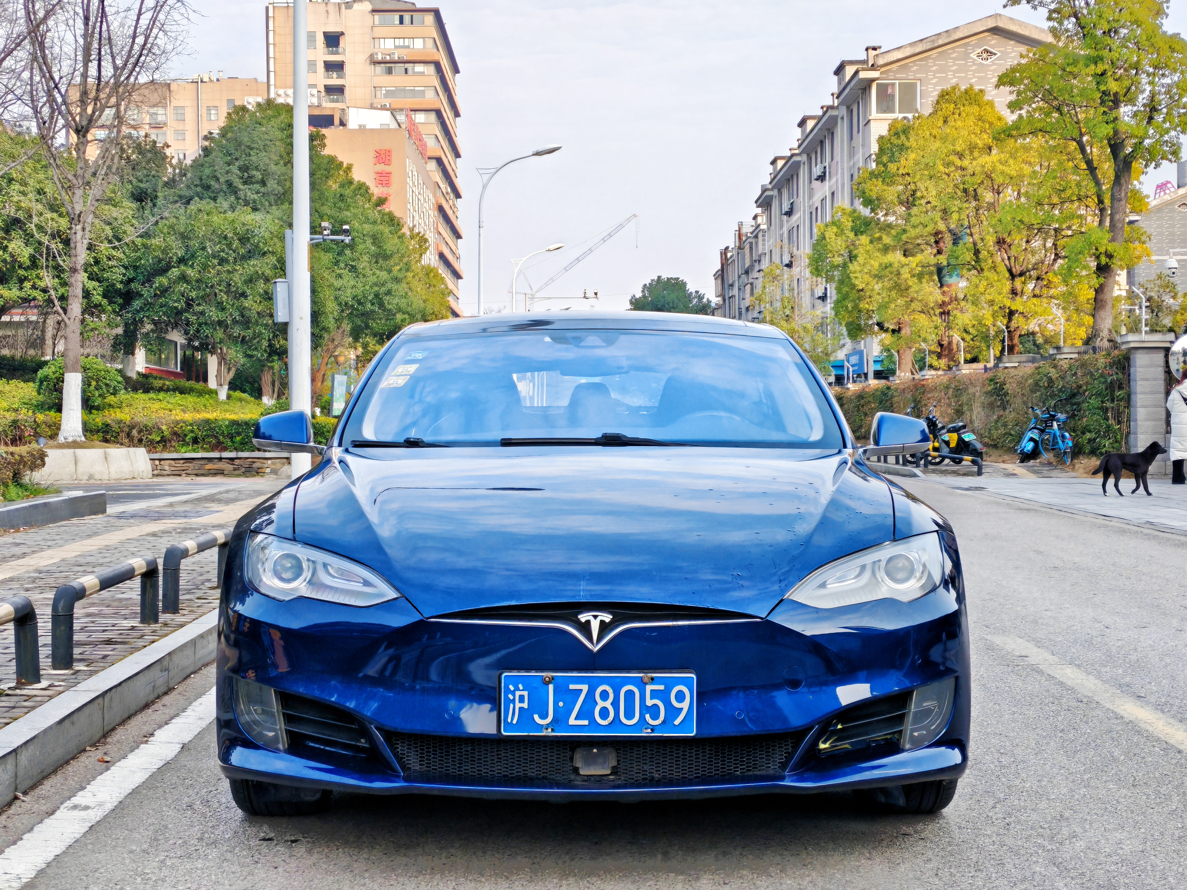 特斯拉 Model S 2016 汽车图片 #2