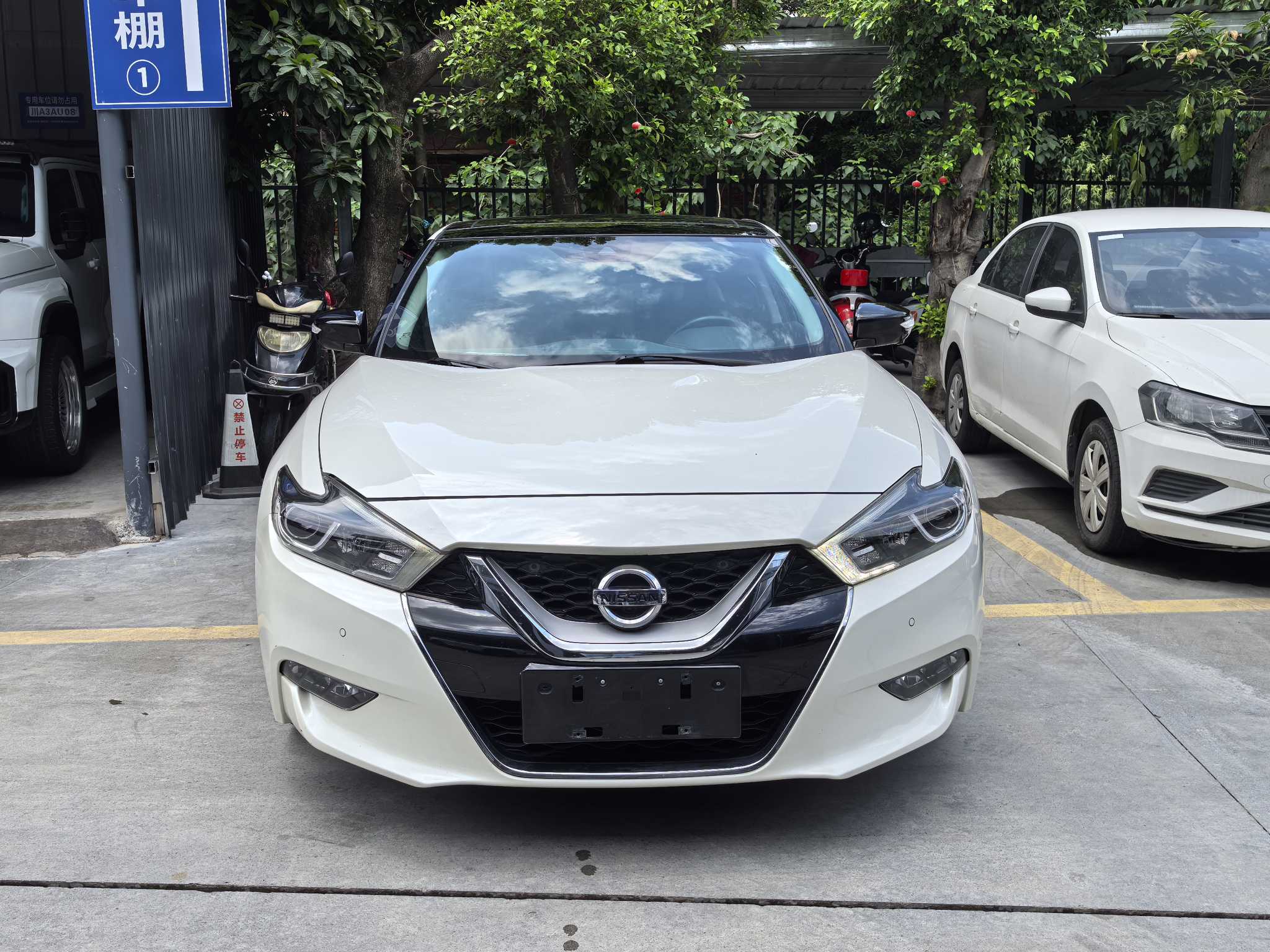 日产 西玛 2016 汽车图片 #2
