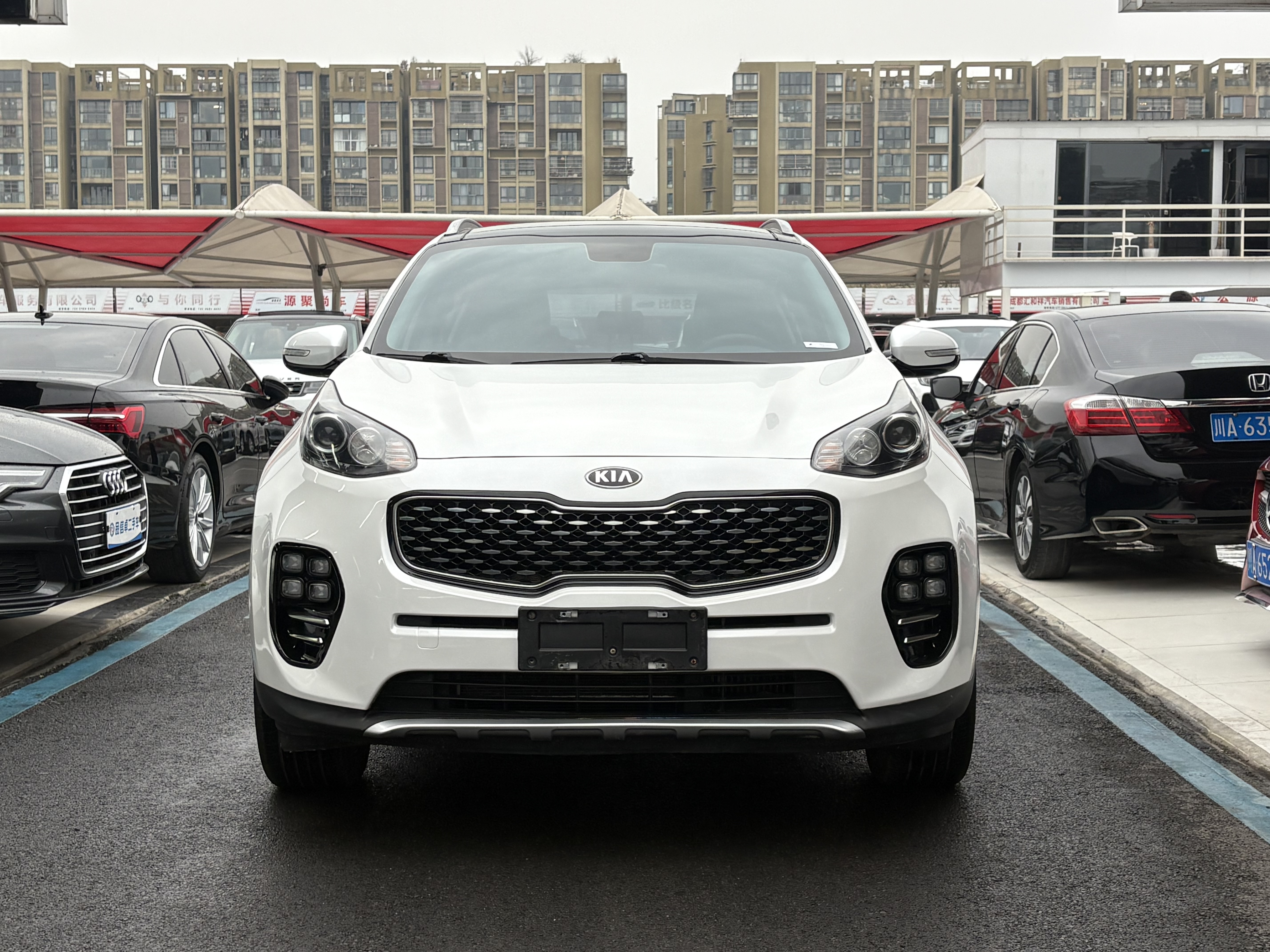 Kia KX5 2016 صورة سيارة #2