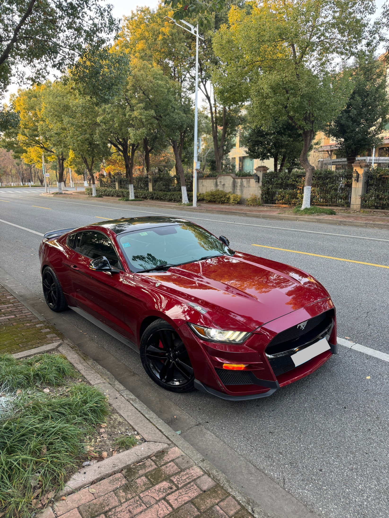Ford Mustang 2017 car image #2