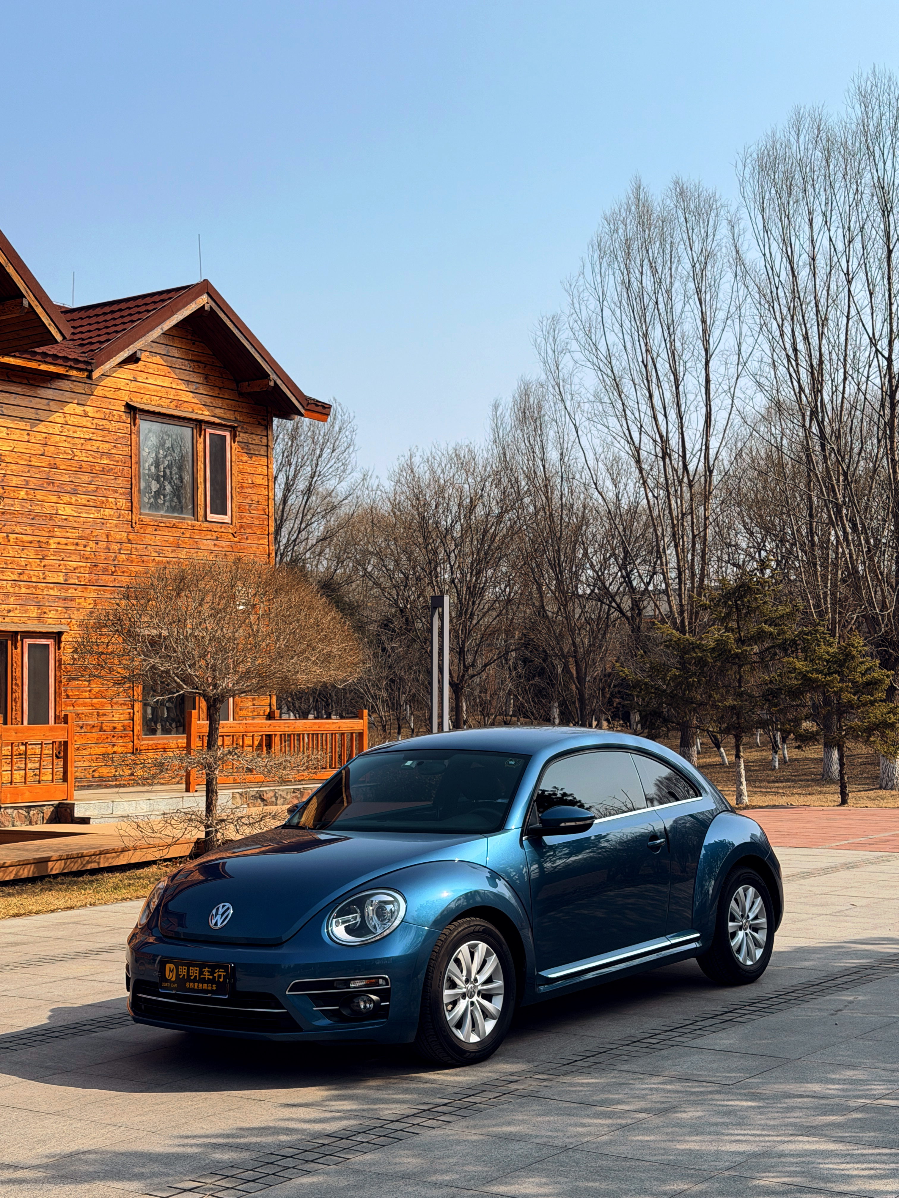 Volkswagen Beetle 2018 immagine di auto #2