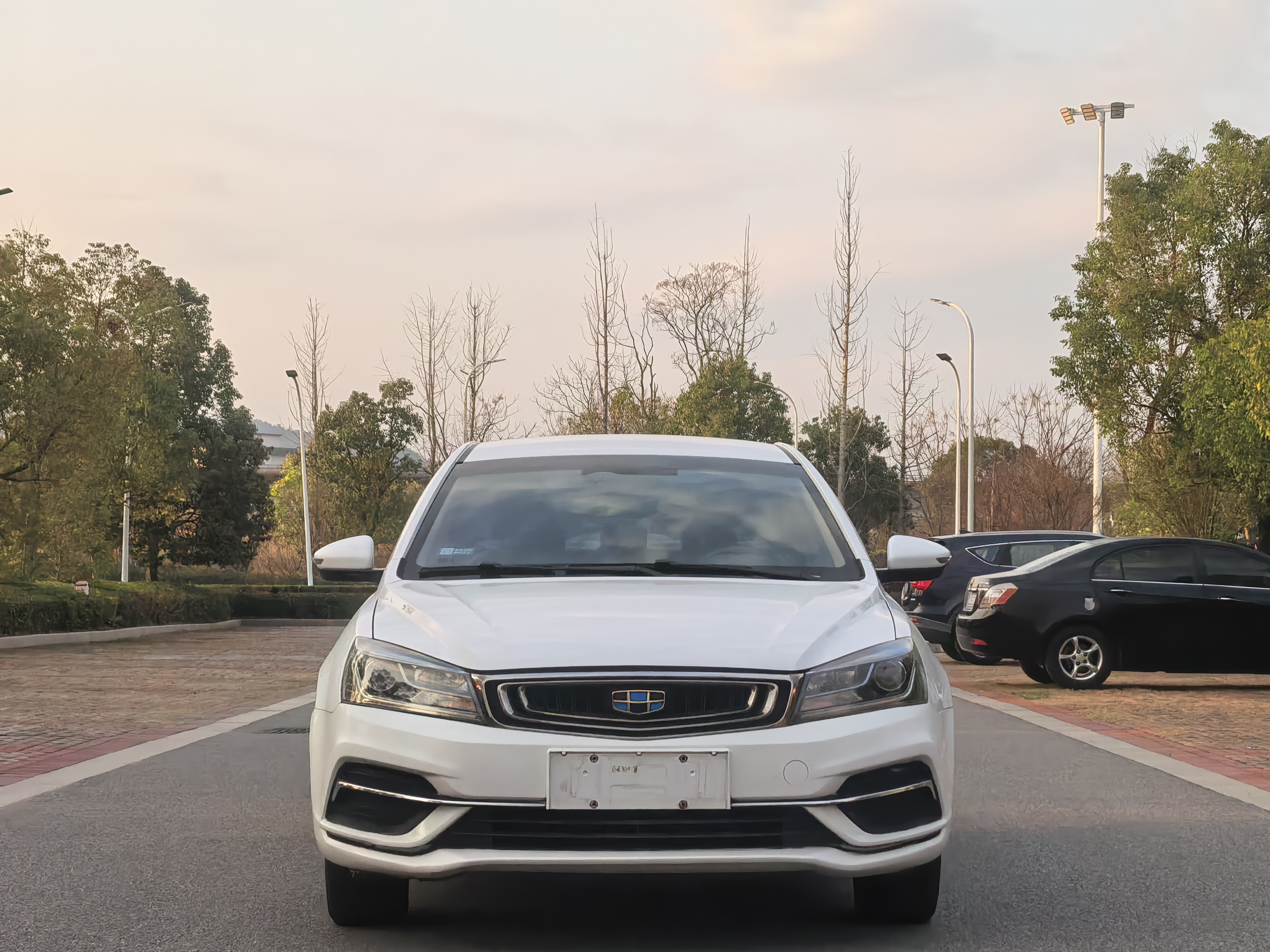 Emgrand 2018 car image #2