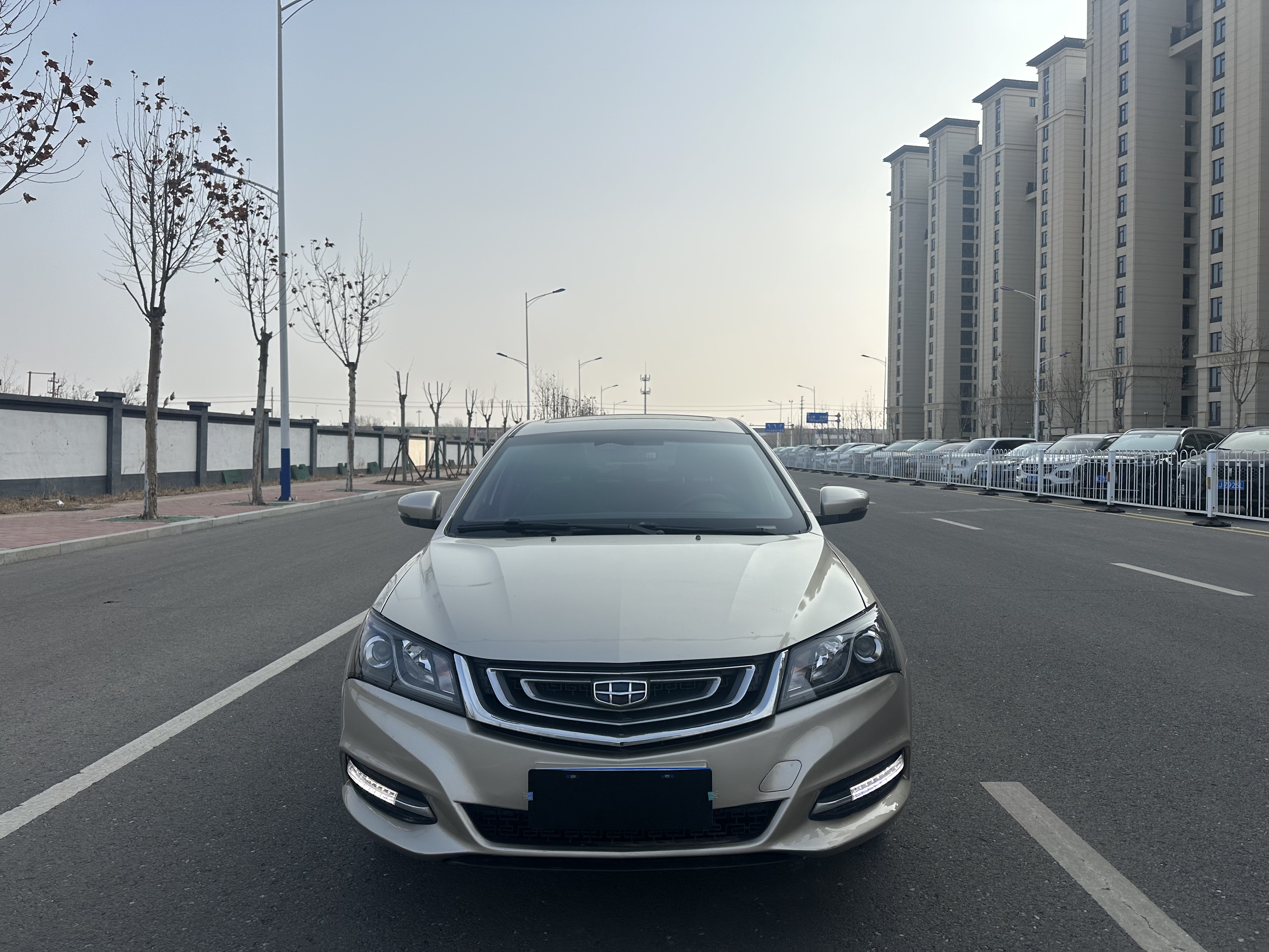 Emgrand 2017 car image #2