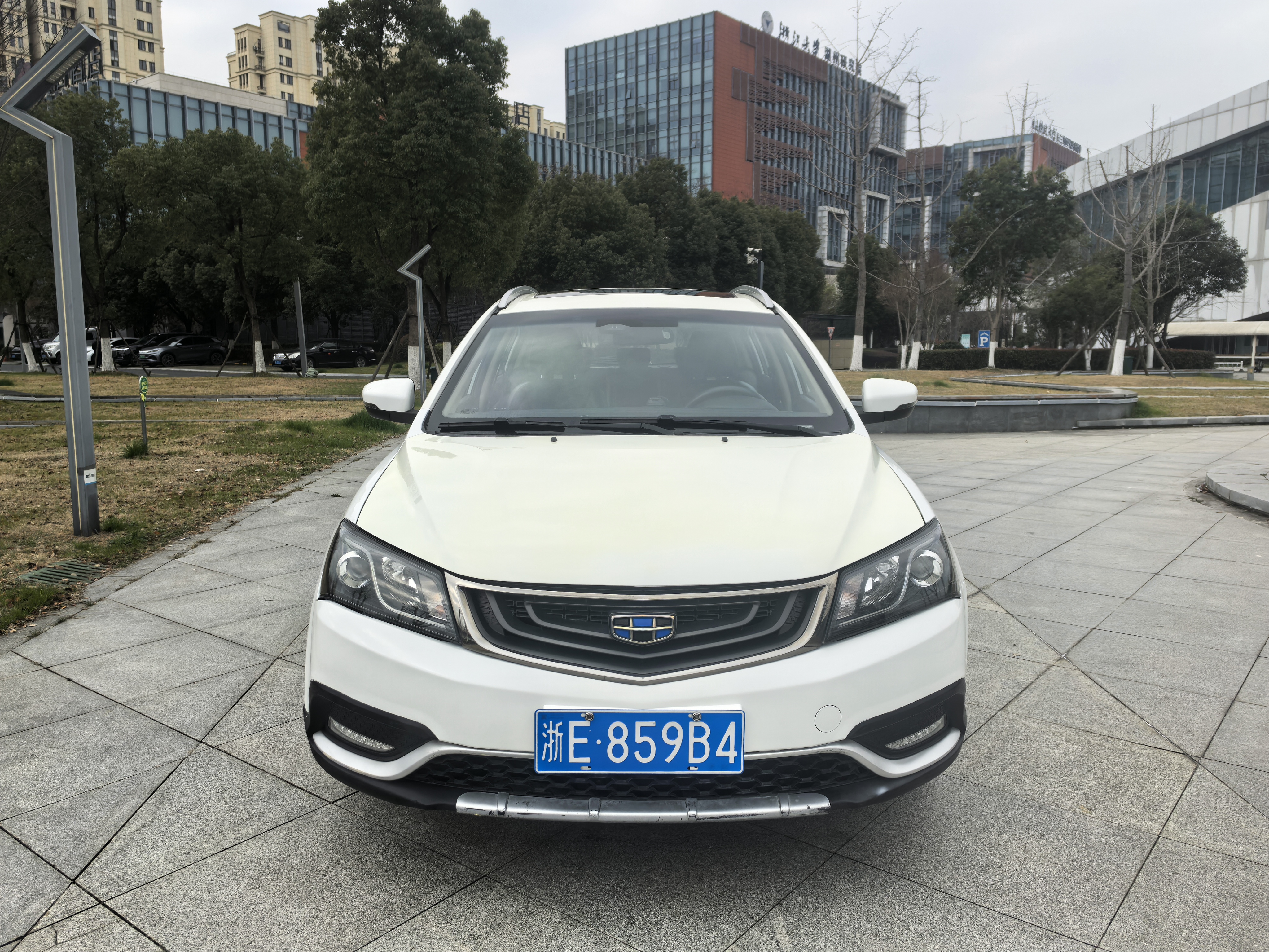 Emgrand 2017 #2 Emgrand 2017 car image #2