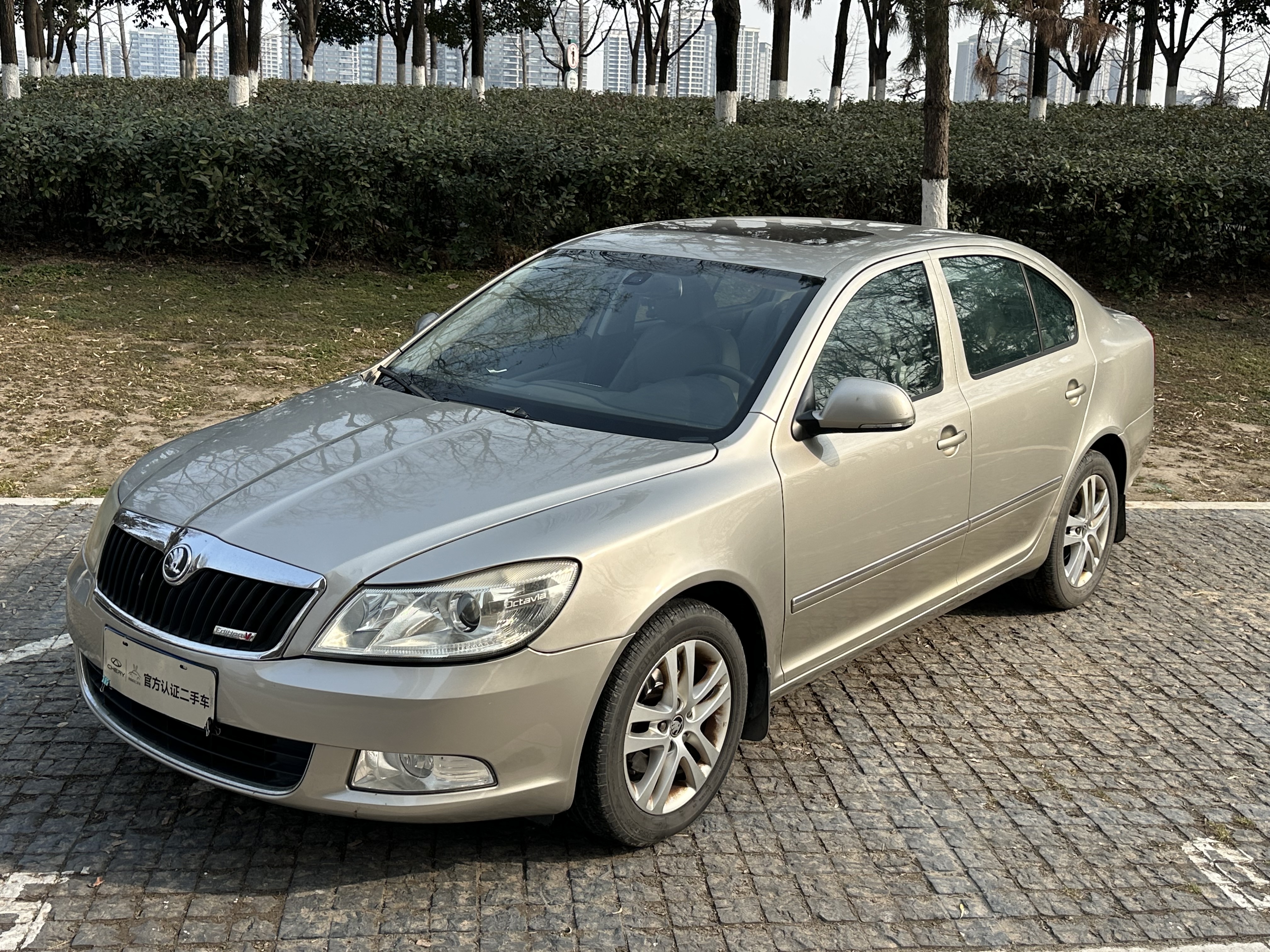 Skoda Octavia 2013 car image #2