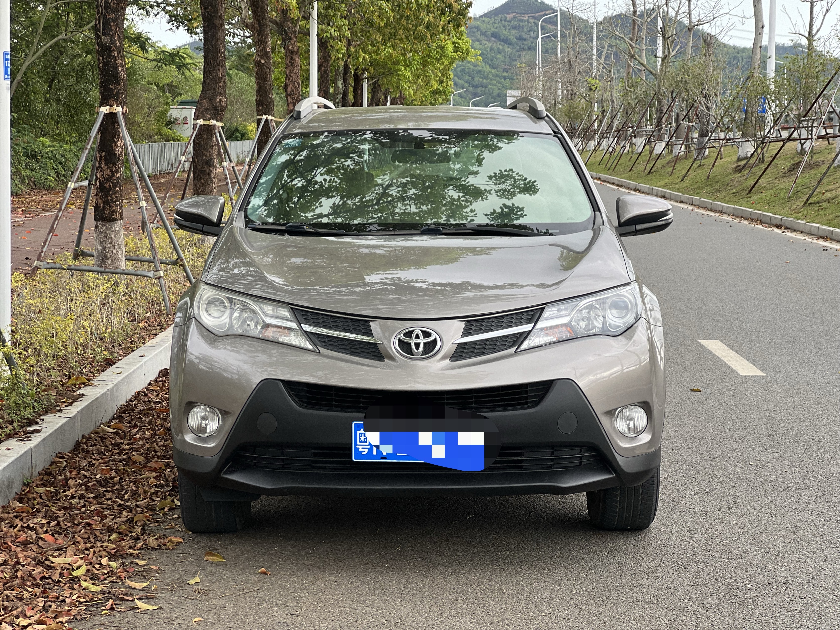 Toyota RAV4 2014 car image #2