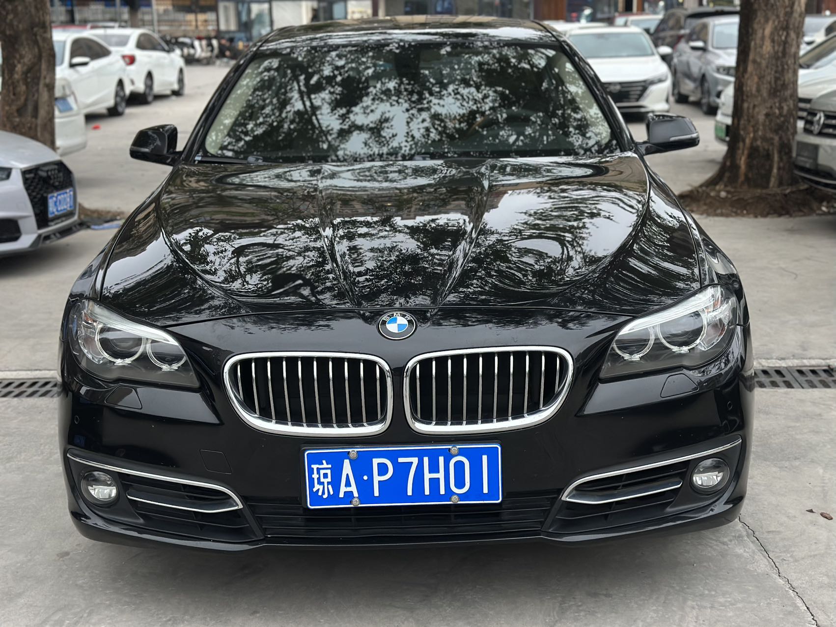 BMW 5 Series 2014 #2 BMW 5 Series 2014 car image #2
