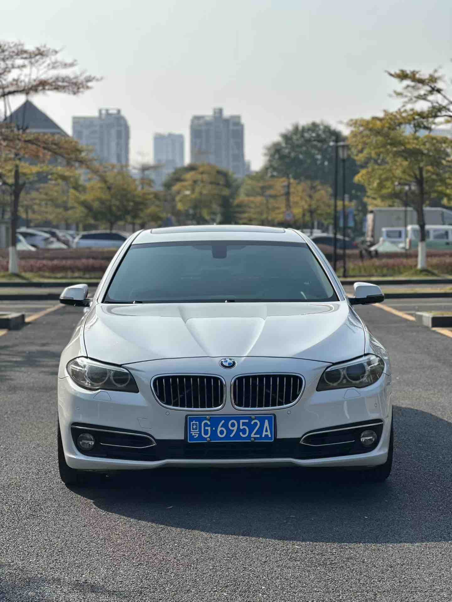 BMW 5 Series 2013 #2 BMW 5 Series 2013 car image #2
