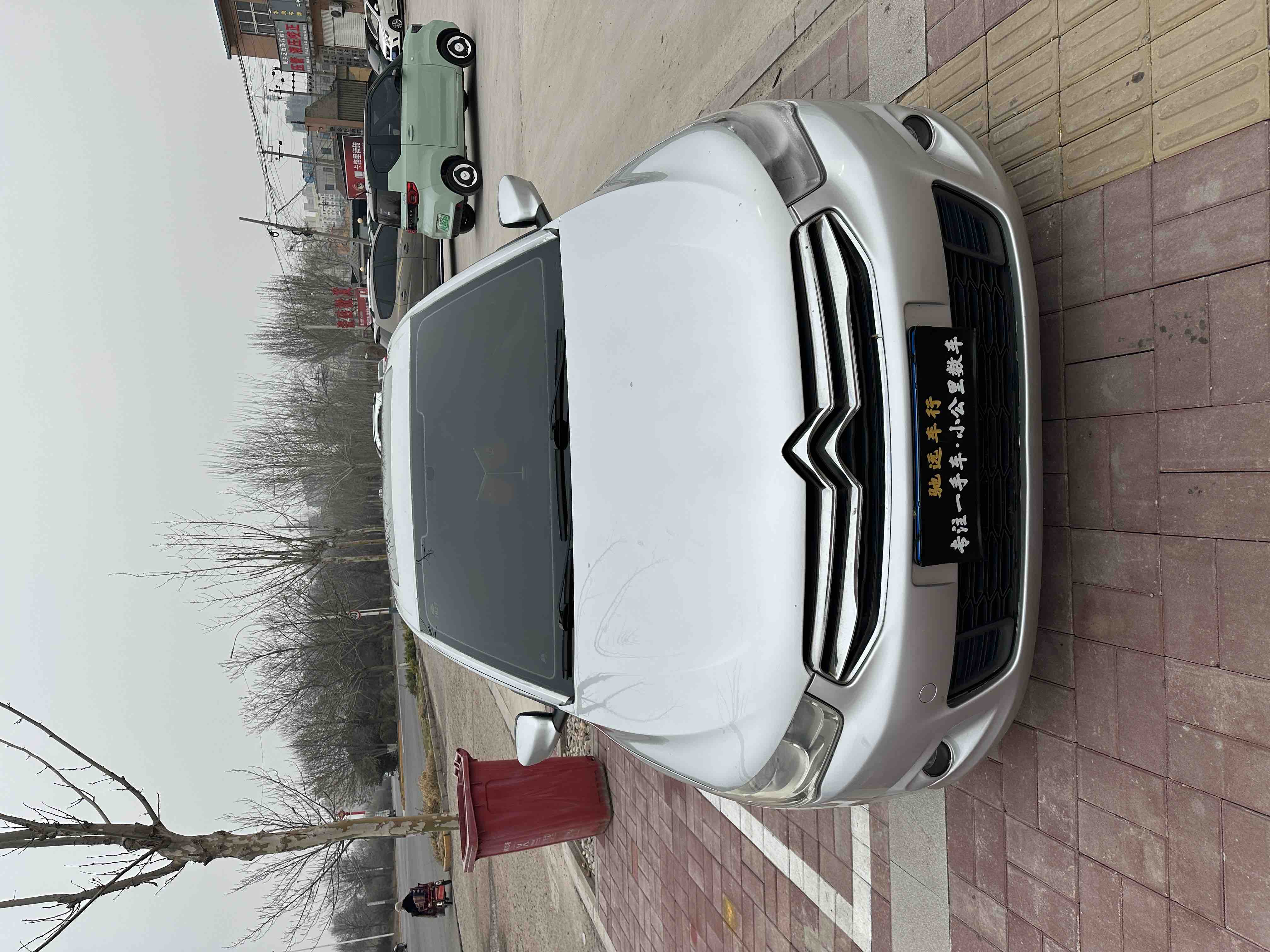 Citroen C-Elysée 2014 imagen de coche #2