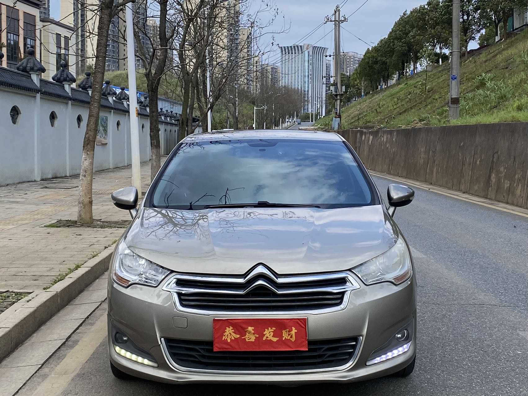 Citroen C4L 2014 immagine di auto #2
