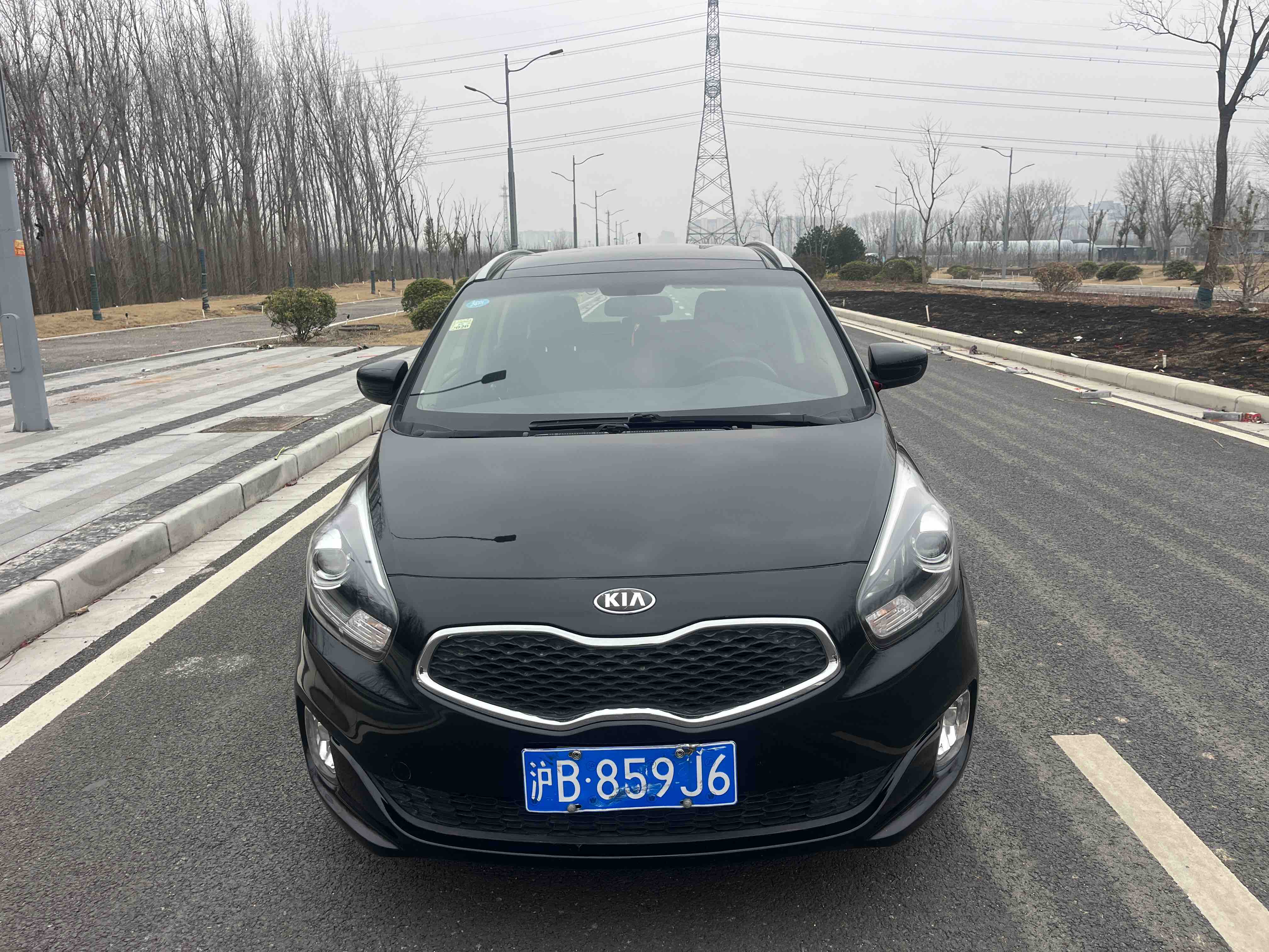 起亚 佳乐 2014 汽车图片 #2