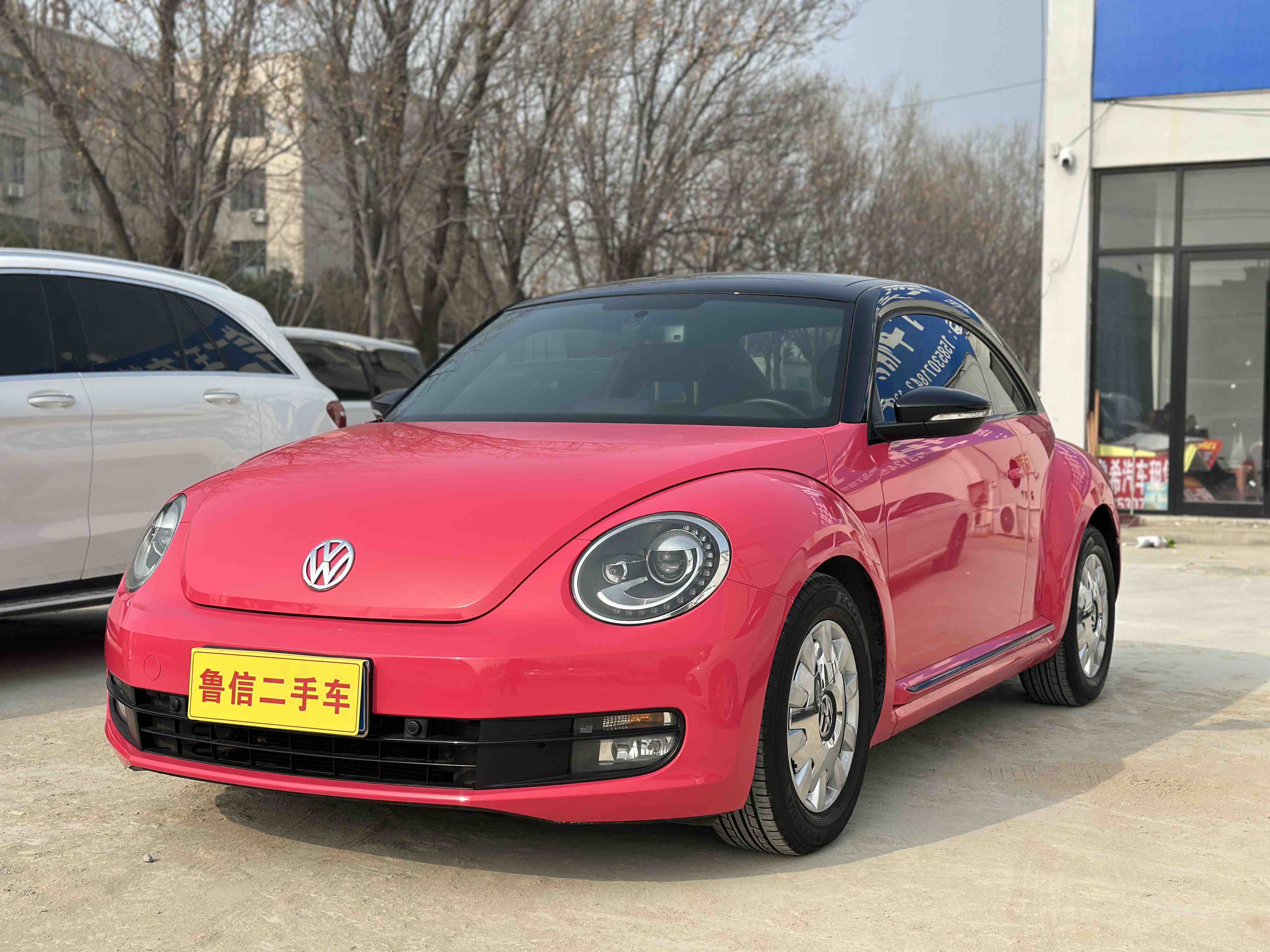 Volkswagen Beetle 2014 immagine di auto #2