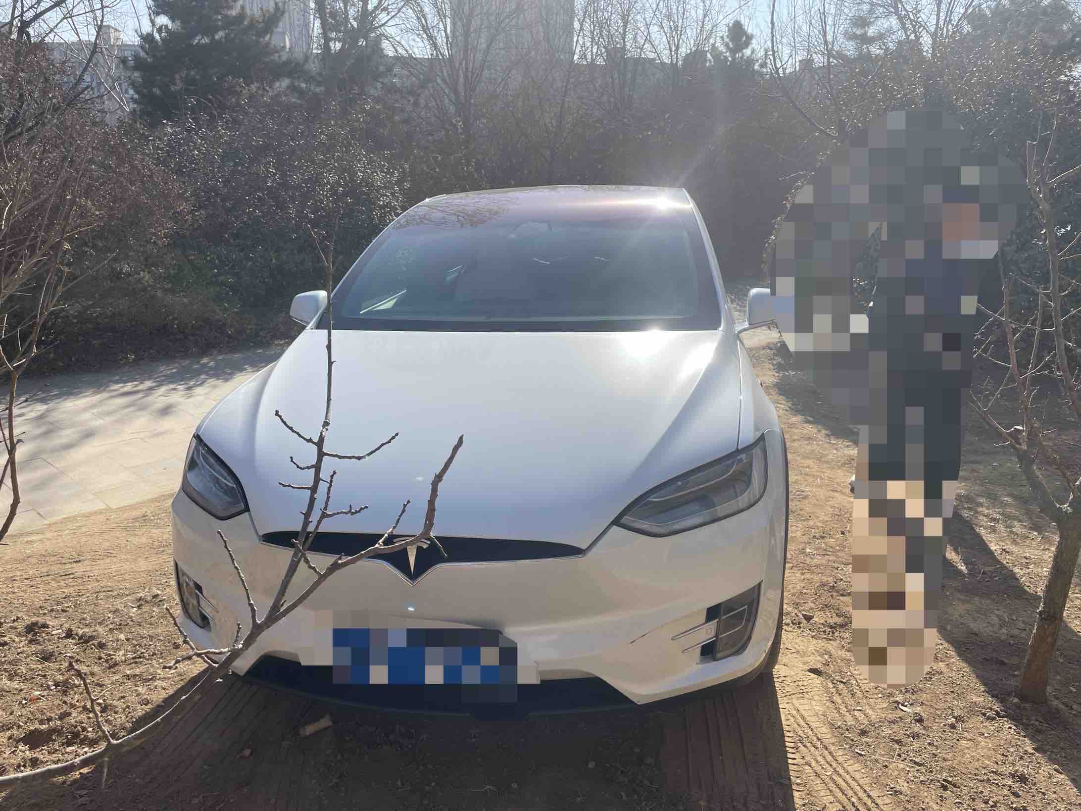 特斯拉 Model X 2017 汽车图片 #2