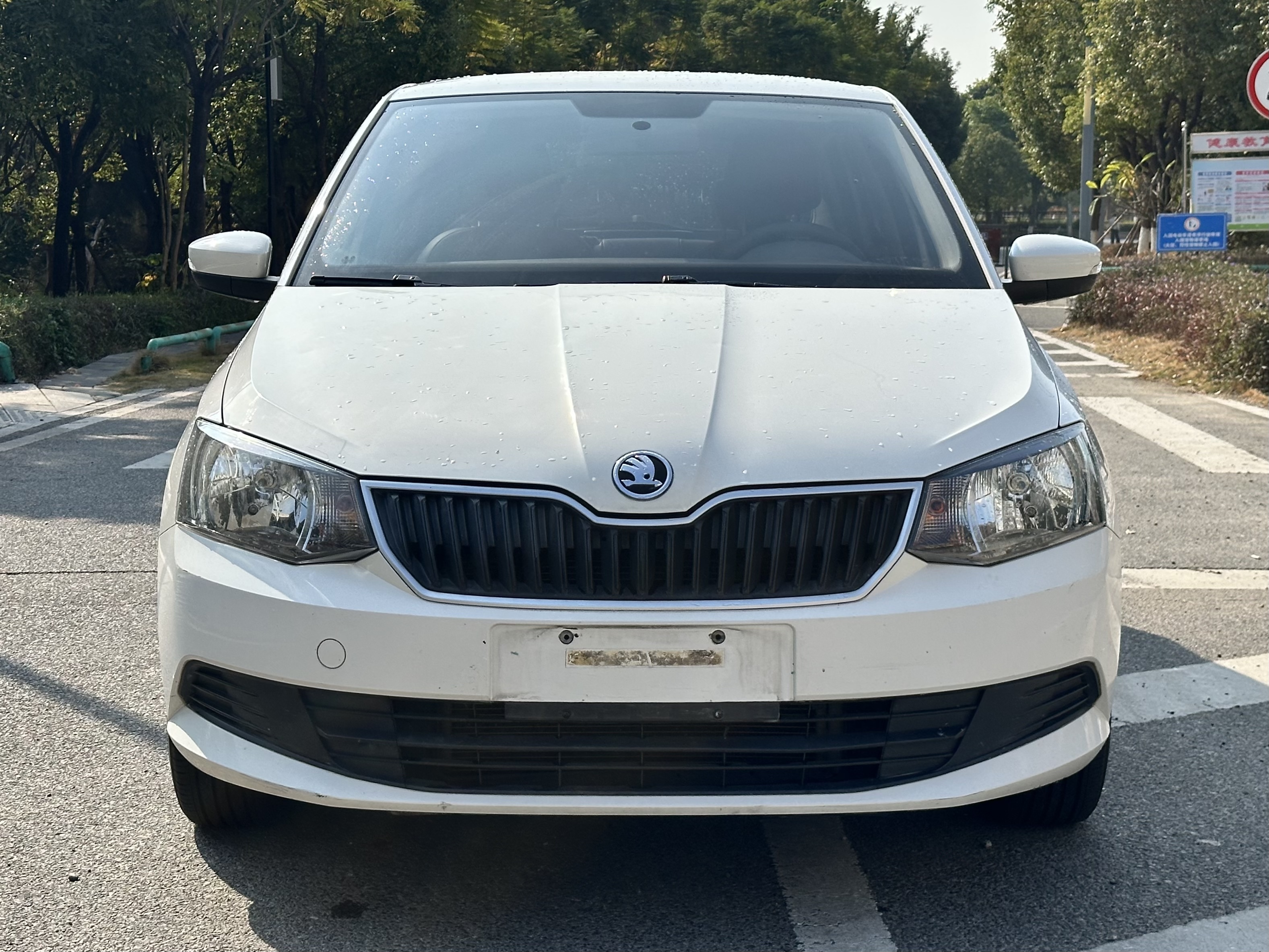 Skoda Fabia 2017 immagine di auto #2