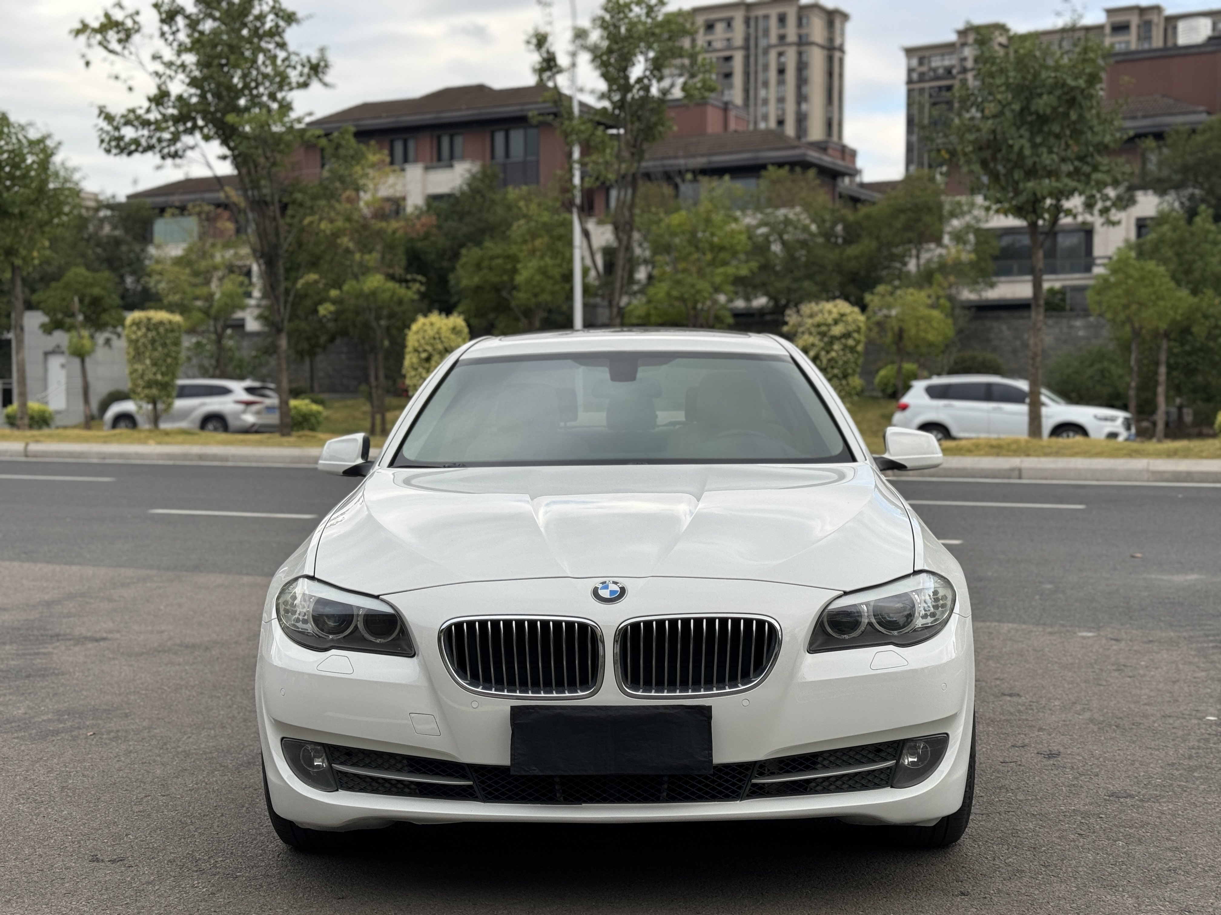 BMW 5 Series 2013 car image #2