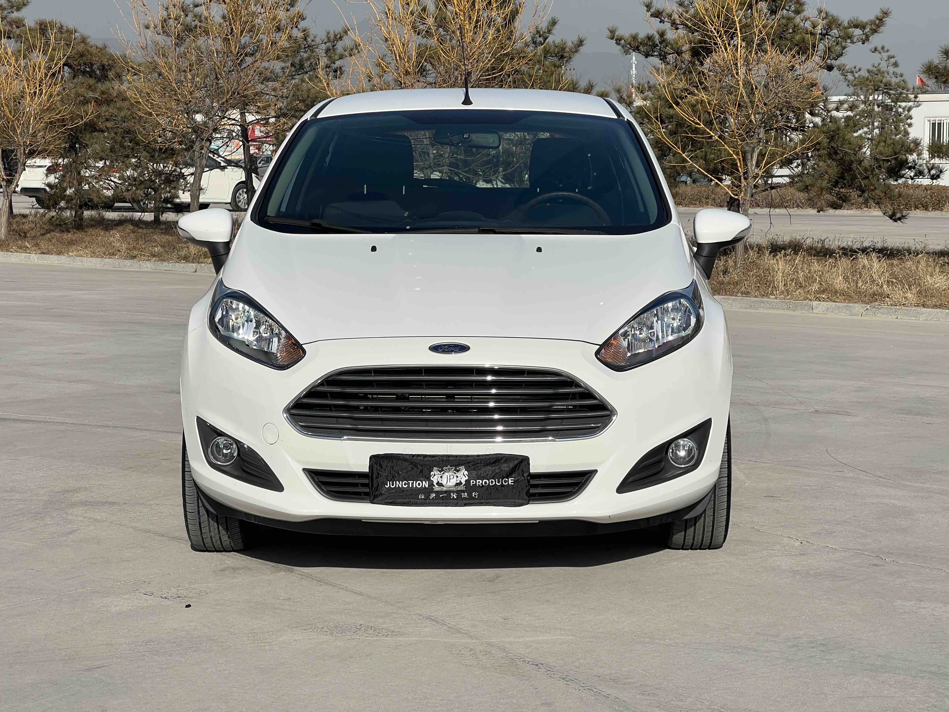 Ford Fiesta 2016 car image #2