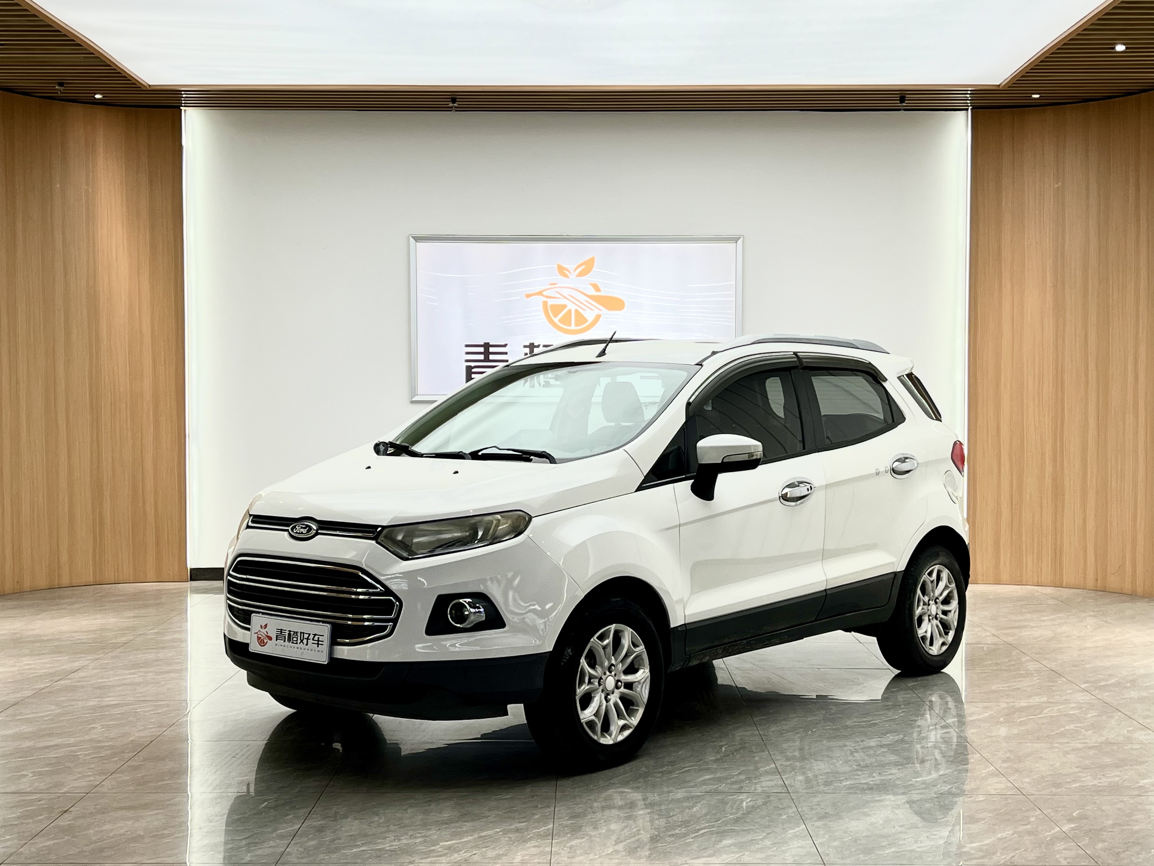 Ford EcoSport 2013 immagine di auto #2