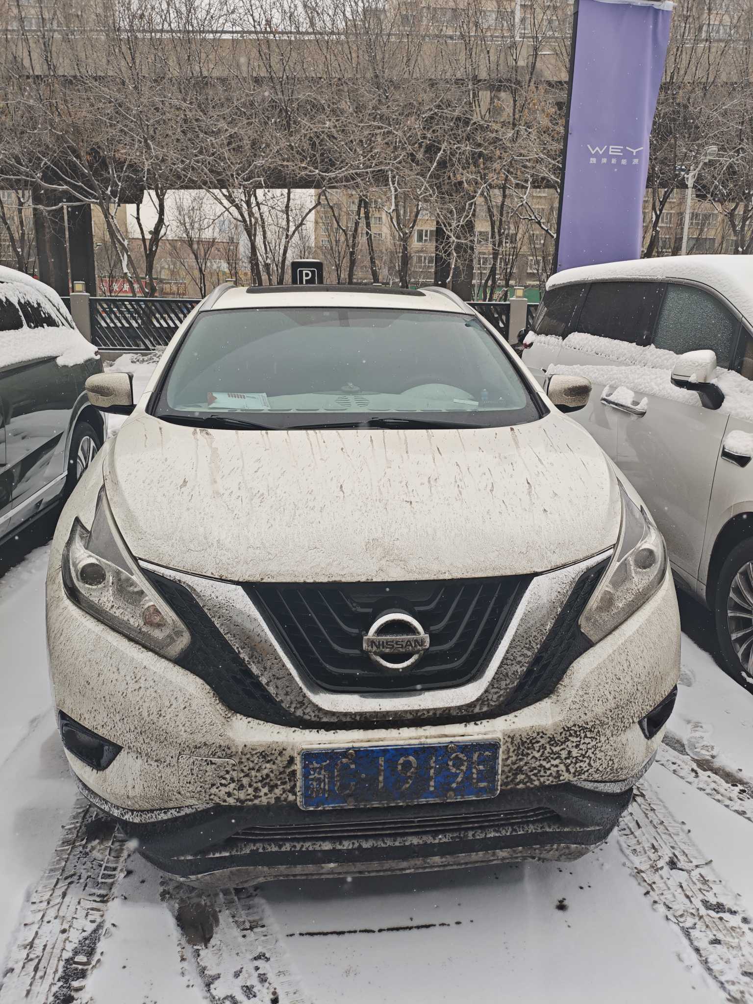 Nissan Murano 2017 immagine di auto #2