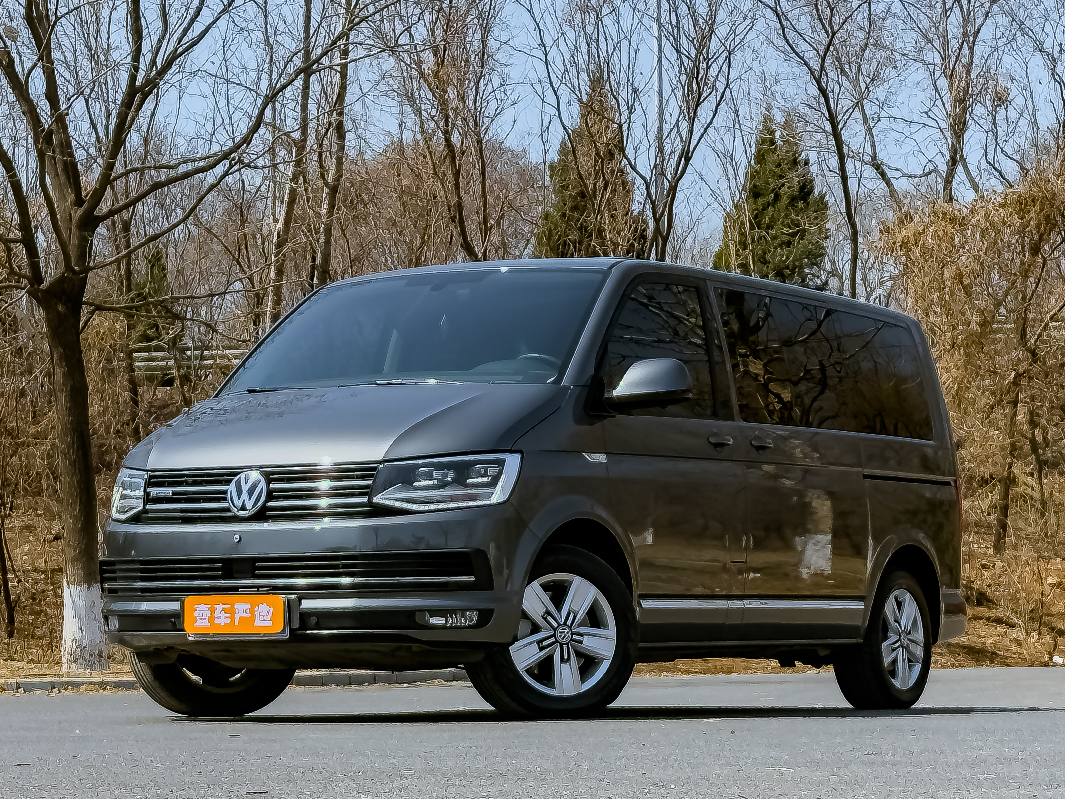 Volkswagen Multivan 2017 imagem de carro #2