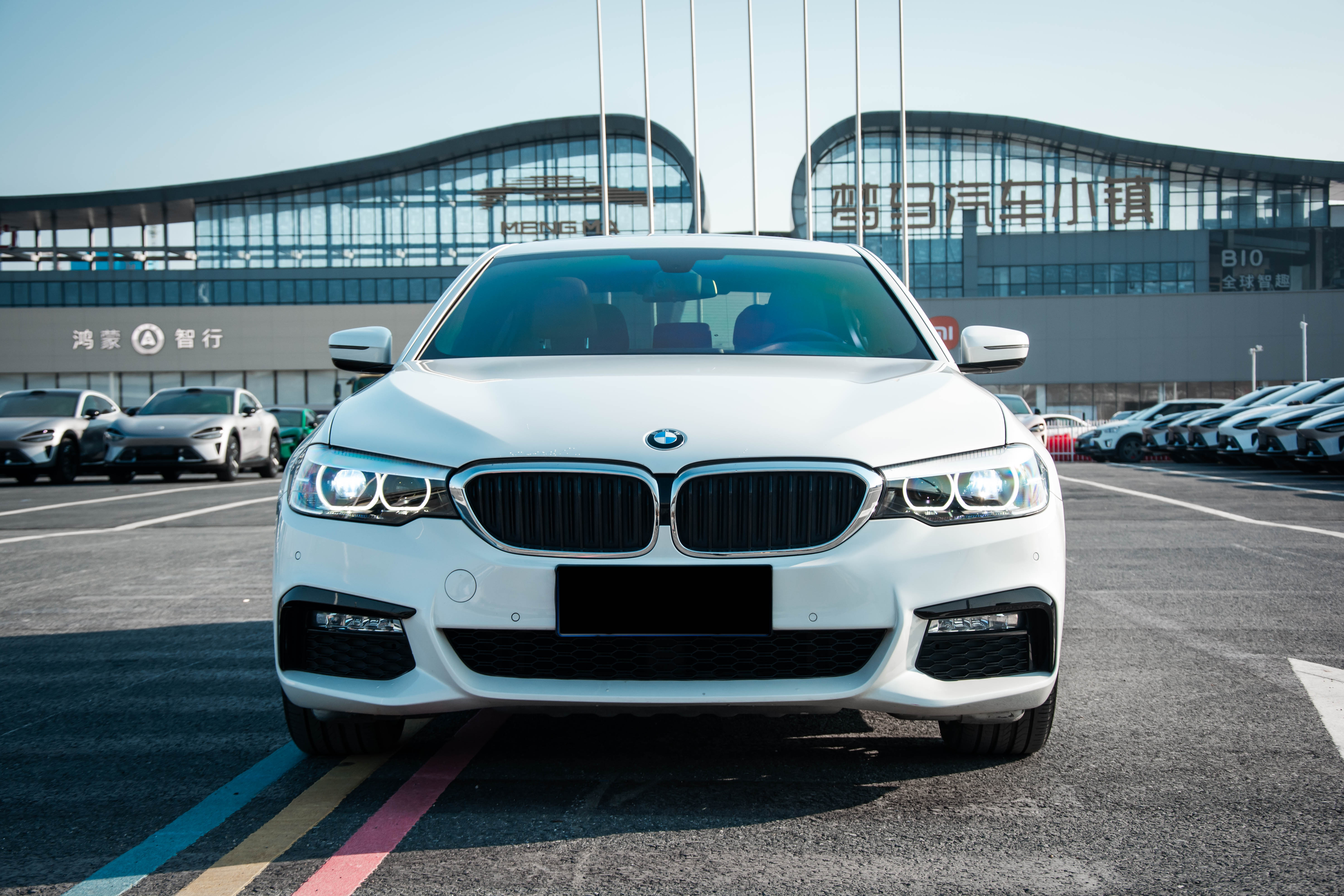 BMW 5 Series 2018 #2 BMW 5 Series 2018 car image #2