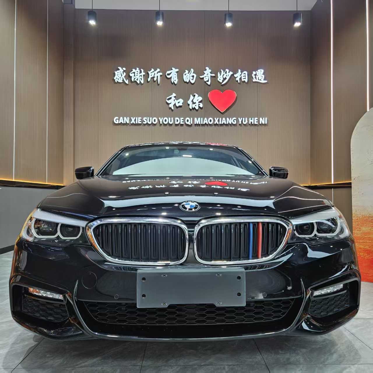 BMW 5 Series 2018 immagine di auto #2