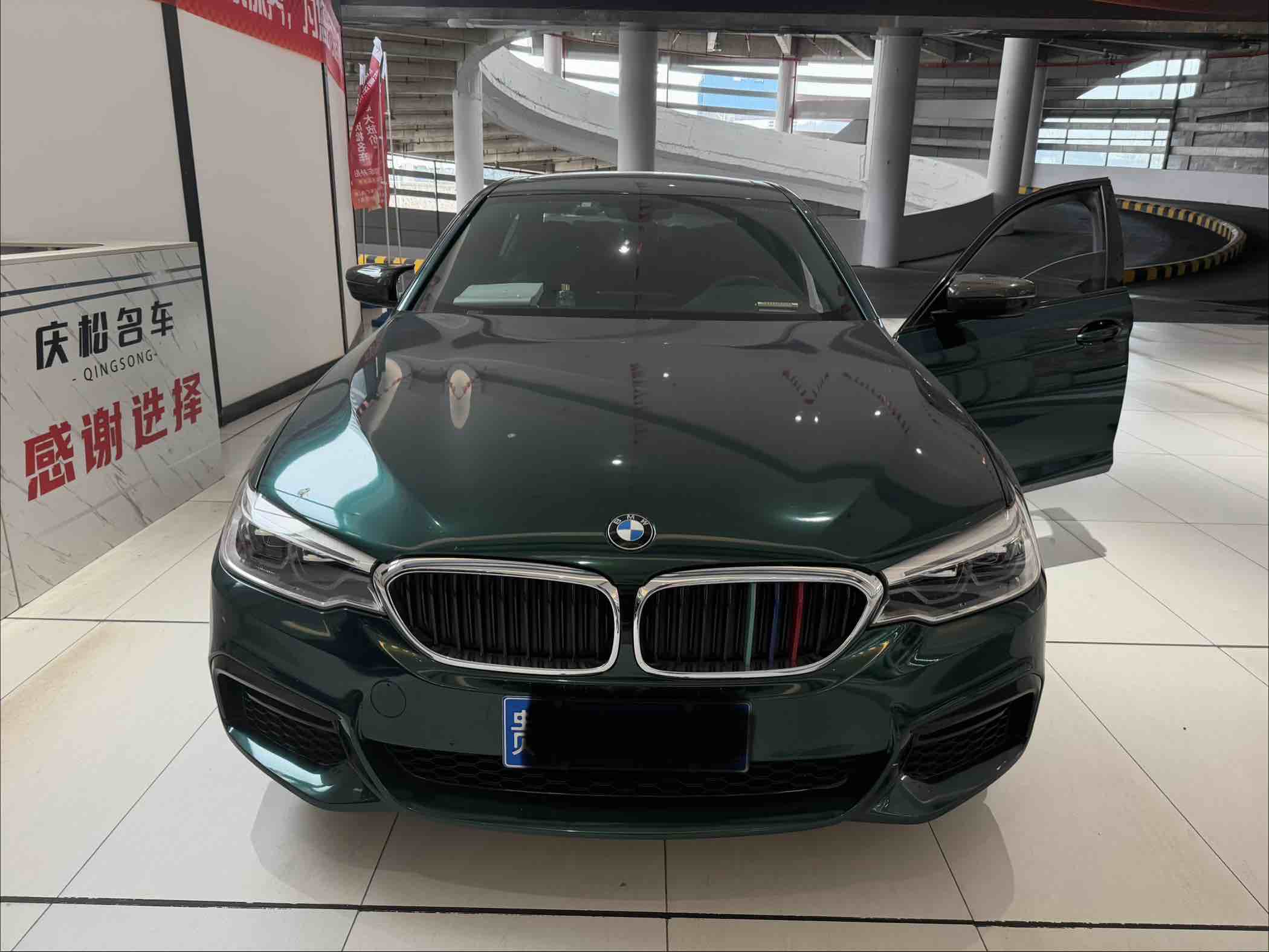 BMW 5 Series 2019 car image #2