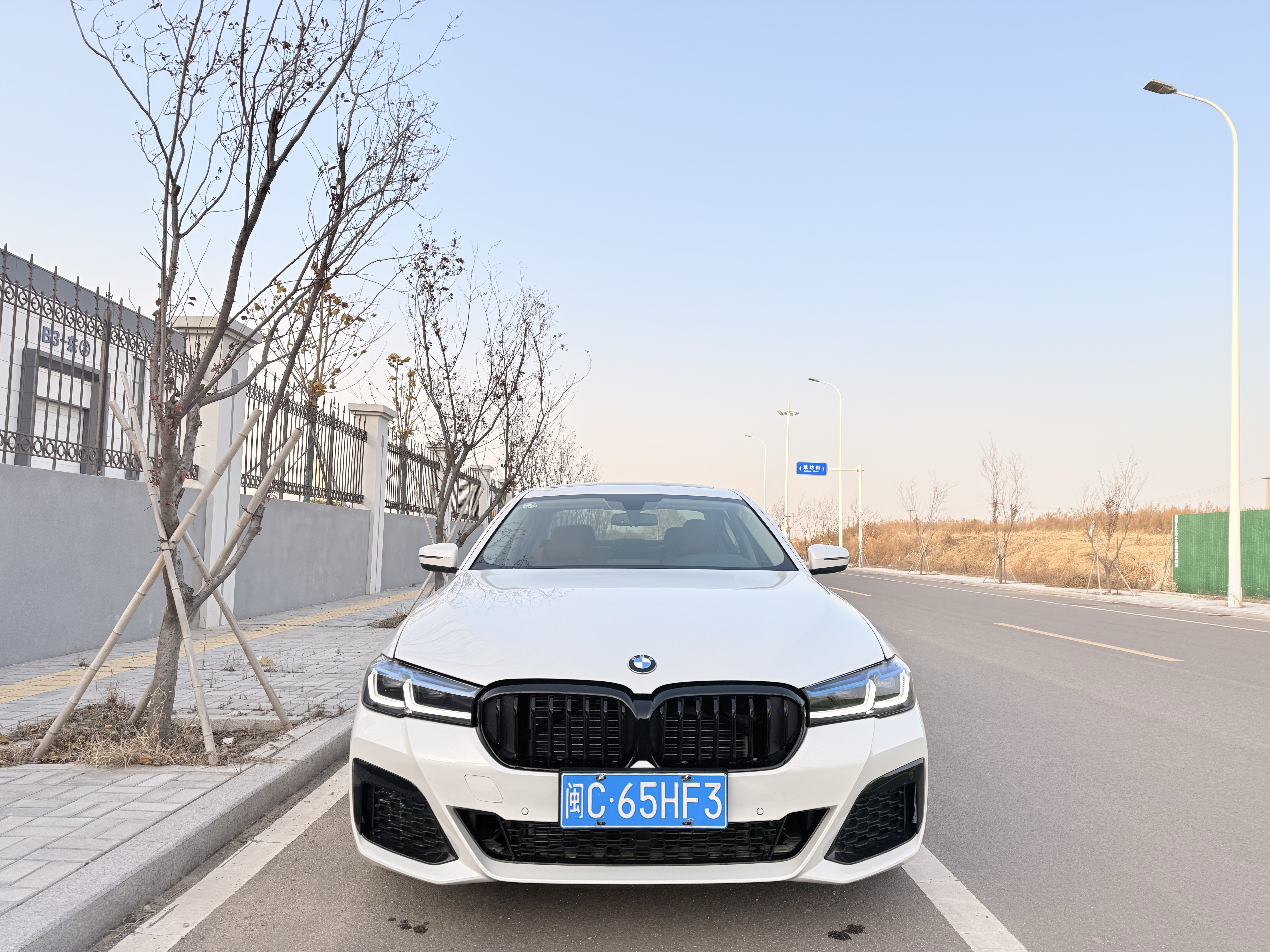 BMW 5 Series 2017 car image #2