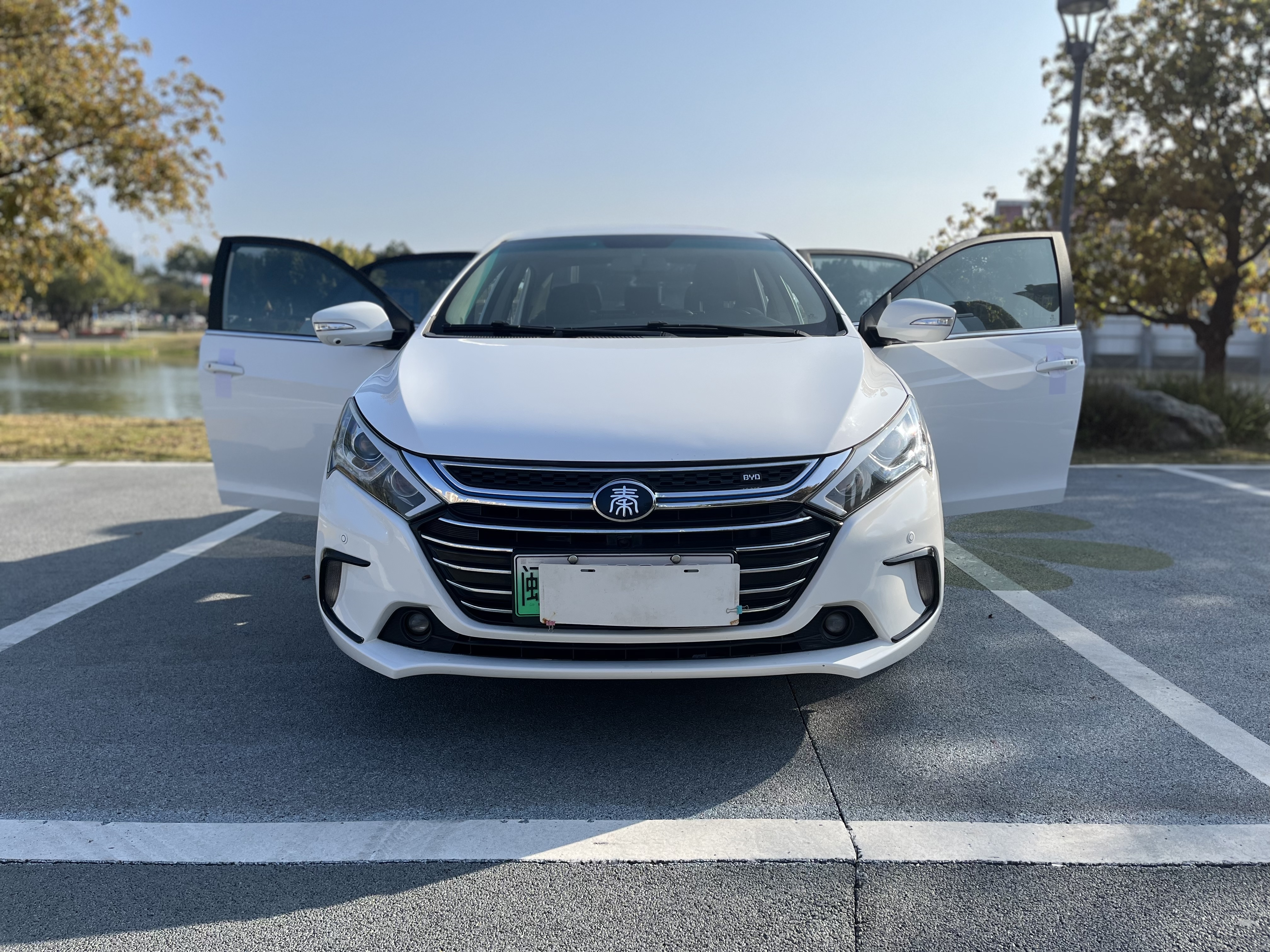 BYD Qin New Energy 2017 #2 BYD Qin New Energy 2017 car image #2